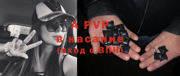 индика Иннополис