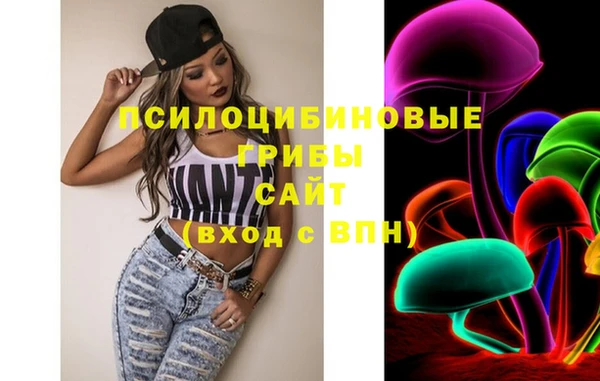 ГАЛЛЮЦИНОГЕННЫЕ ГРИБЫ Каменск-Шахтинский